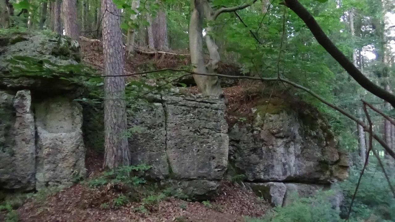Ferienhaus Zum Berg Neuhaus an der Pegnitz Exterior foto