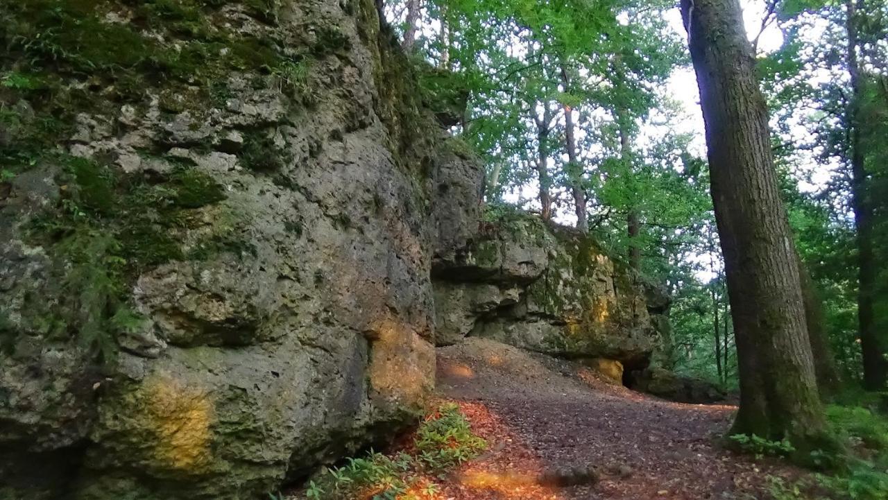 Ferienhaus Zum Berg Neuhaus an der Pegnitz Exterior foto
